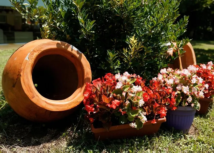 грийн парк Китен