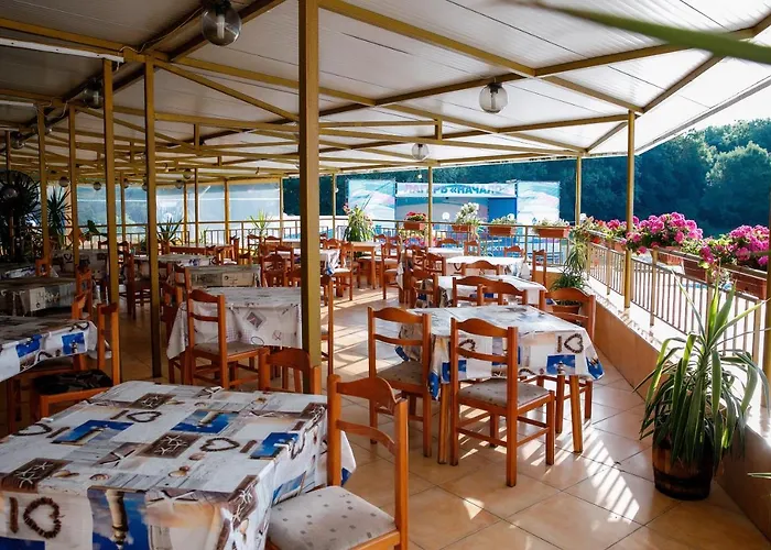 грийн парк * Китен